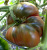 Рассада Томат Гигант Кубы № 170 сорт с самыми крупными плодами средний, индетерминантный, красный, р7