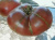 Рассада Томат Гигант Кубы № 170 сорт с самыми крупными плодами средний, индетерминантный, красный, р7